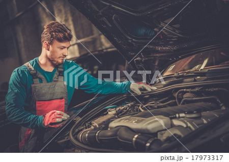 Mechanic checking under hood in a workshop Mechanic checking under hood in a workshop 17973317