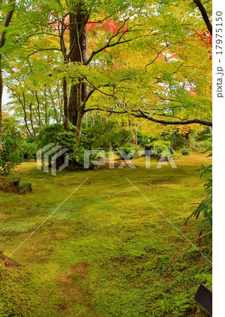 静寂の日本庭園 静寂の日本庭園 17975150
