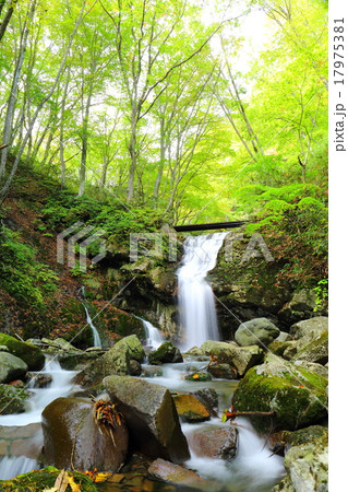 静寂の中に　魚止滝　2015初秋 17975381