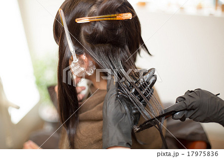 beauty parlor beauty parlor 17975836