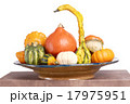 Gourd family. 17975951