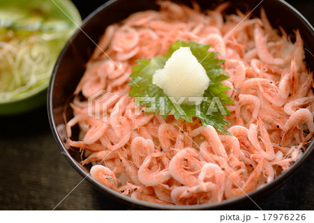 由比　さくら海老丼 17976226