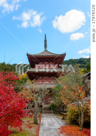 秋の太山寺 17976520