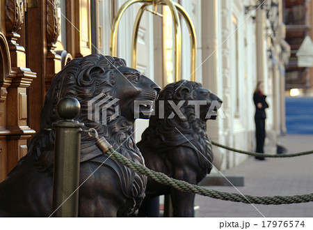 Wooden lion sculptures Wooden lion sculptures 17976574