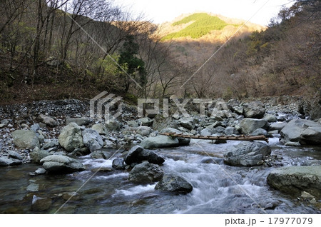 早戸川の朝 17977079