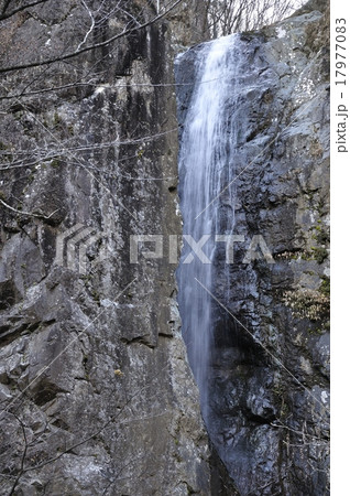 日本の滝百選 早戸大滝 日本の滝百選 早戸大滝 17977083