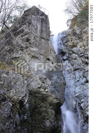 日本の滝百選 早戸大滝 日本の滝百選 早戸大滝 17977085