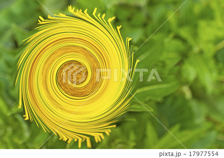 flying spiral flying spiral 17977554