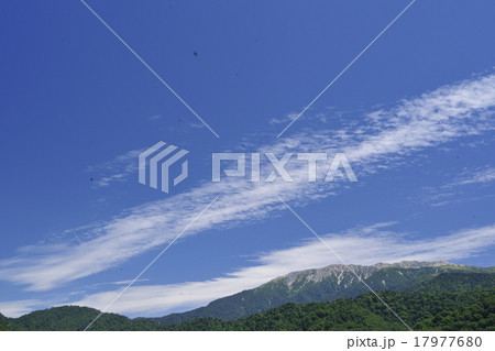 立山連峰と燕舞う青空/富山県 富山市 立山連峰と燕舞う青空/富山県 富山市 17977680