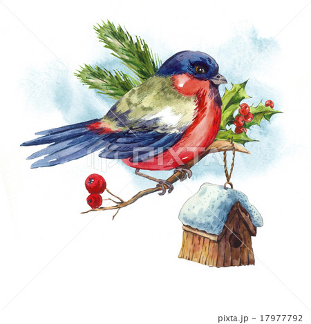 Watercolor vintage Merry Christmas and Happy New 17977792