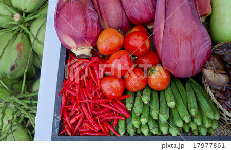 Kind of Thai vegetables set in Thai kitchen style 17977861
