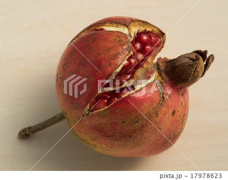 熟して割れた柘榴 17978623