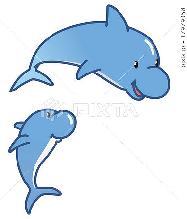 イルカ イルカ 17979058