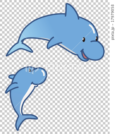 イルカ イルカ 17979058