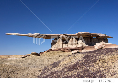 King of Wings, New Mexico, USA 17979611