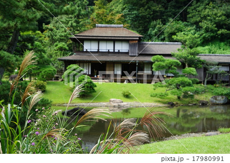 9月花　ススキ86三渓園 17980991