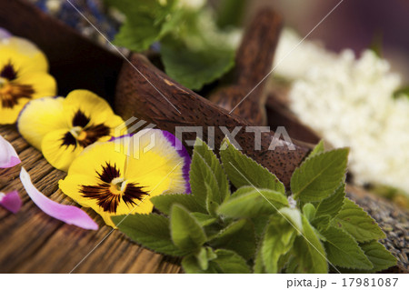 Alternative medicine, dried herbs background Alternative medicine, dried herbs background 17981087