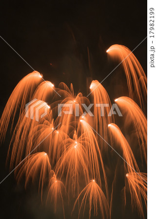 大曲花火大会 17982199