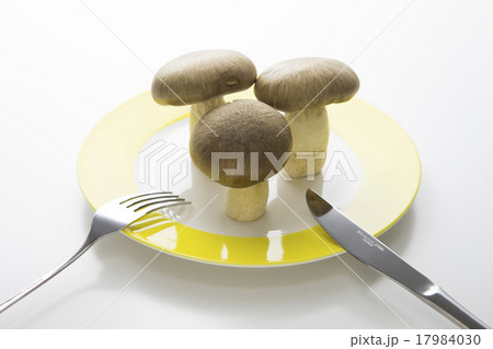 本しめじを食す 本しめじを食す 17984030