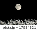 月とすすき（合成） 17984321