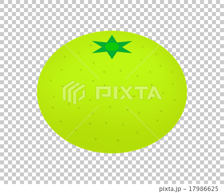 green tangerine 17986625