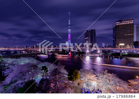 東京スカイツリーと夜桜 17986864