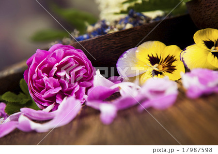 Alternative medicine, dried herbs background 17987598
