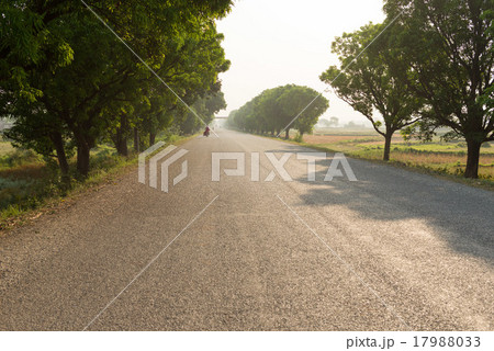 ネパール　ルンビニに至る道 17988033