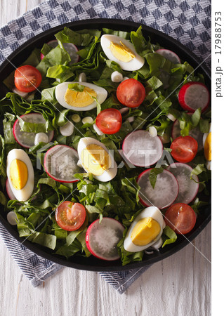 salad with eggs, radishes and sorrel closeup  17988753