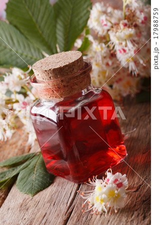 Chestnut Infusion of flowers in a bottle vertical Chestnut Infusion of flowers in a bottle vertical 17988759