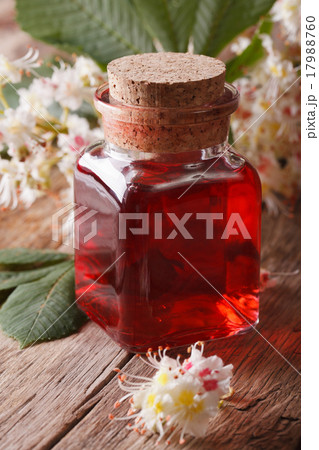 Chestnut tincture of flowers in a bottle vertical 17988760