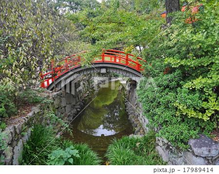 京都・下鴨神社 京都・下鴨神社 17989414