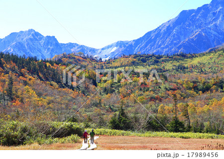 秋の紅葉　栂池高原 17989456