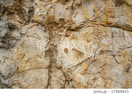 stone texture background 17989643
