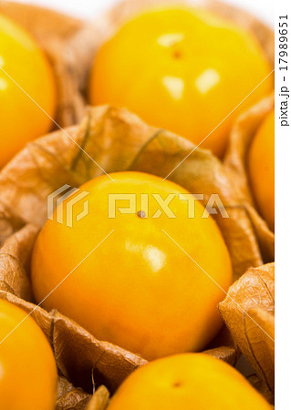 フルーツホオズキ フルーツホオズキ 17989651