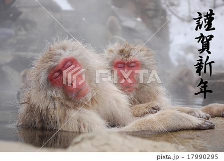 地獄谷温泉の猿 年賀用 文字入りの写真素材