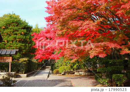 天龍寺塔頭への参道 天龍寺塔頭への参道 17990523