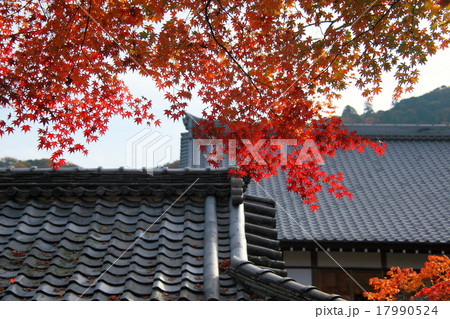 瓦屋根と紅葉 17990524