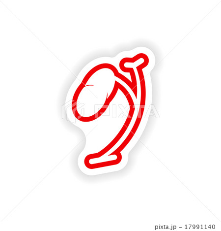 paper sticker on white background body spleen 17991140