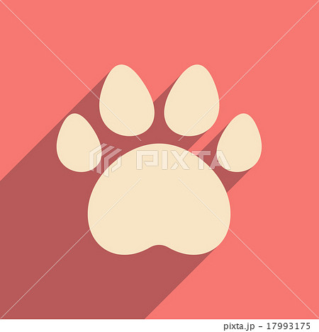 Flat with shadow icon and mobile application Flat with shadow icon and mobile application 17993175