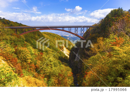 紅葉のつばくろ谷 紅葉のつばくろ谷 17995066