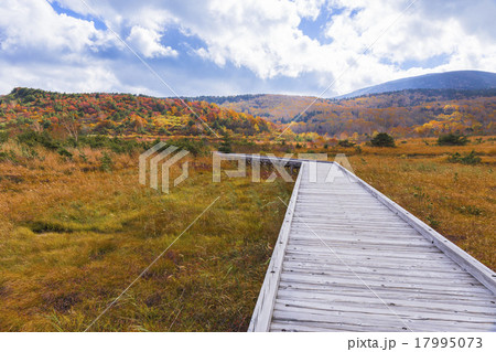 秋の浄土平 17995073