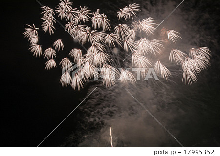 大曲花火大会 17995352