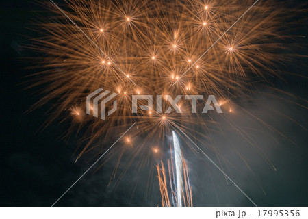 大曲花火大会 17995356