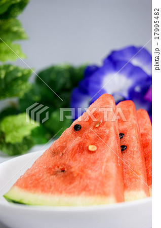 夏の朝顔と西瓜 夏の朝顔と西瓜 17995482