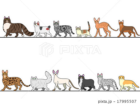 猫 一列 種類 歩く セットのイラスト素材