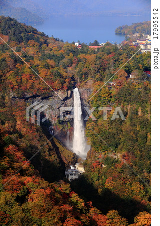 華厳の滝　紅葉 17995542