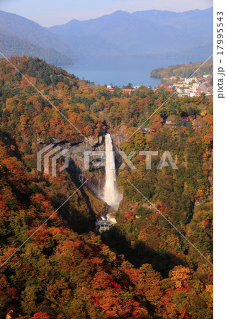 華厳の滝　紅葉 17995543