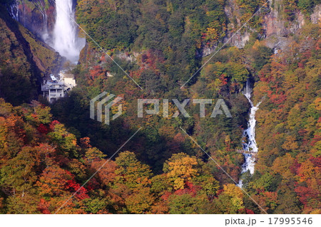 華厳の滝　紅葉 17995546