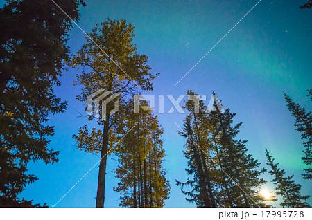 アラスカ・ブルックス山脈でのオーロラブレイクアップ アラスカ・ブルックス山脈でのオーロラブレイクアップ 17995728